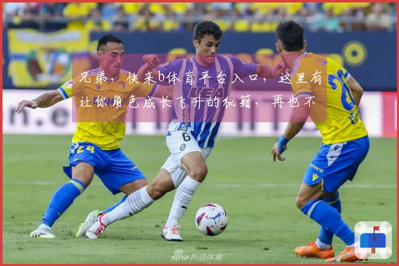 兄弟，快来b体育平台入口，这里有让你角色成长飞升的秘籍，再也不愁卡关了！